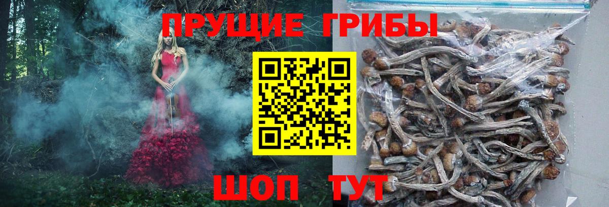 Галлюциногенные грибы GOLDEN TEACHER Когалым