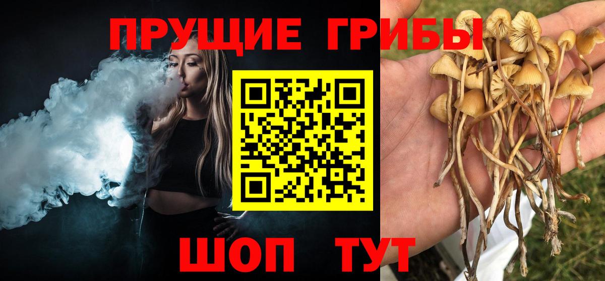 Когалым  сколько стоит  Вход с VPN  Псилоцибиновые грибы мицелий 